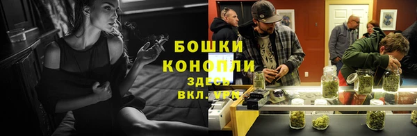 гидропоника Бронницы