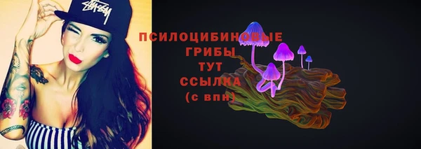 тгк Бугульма
