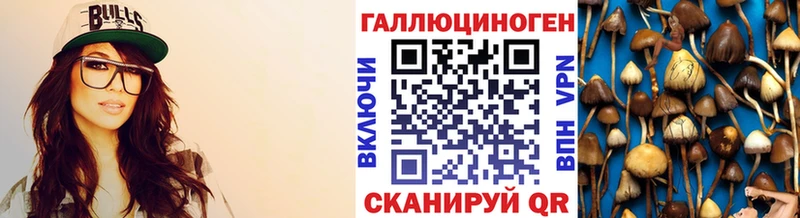 магазин    Называевск  Галлюциногенные грибы MAGIC MUSHROOMS 